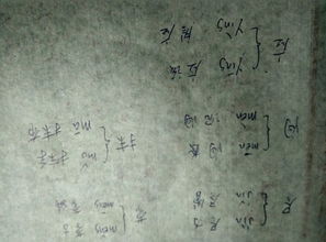 蒙字多音字组词