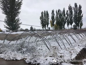 2021甘肃受降雪影响高速公路交通管制措施
