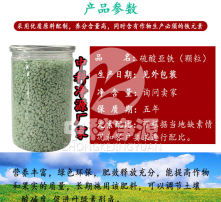 硝酸亚铁化学式，硫酸锌化学式