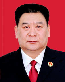 杨司祺，杨司旗简介