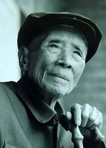 杨善洲曾任什么职务，杨善洲资料简介