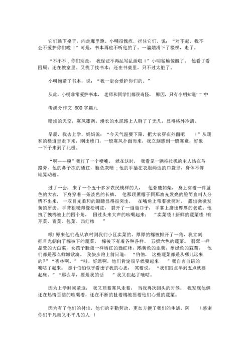 中考高分作文600字