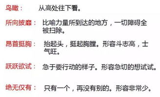 念叨的近义词