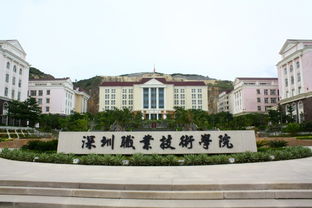 深圳高级职业技术学院西丽校区，深圳高级职业技术学院 管雪光