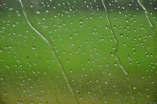 一什么什么的雨滴，什么的雨滴填空三年级
