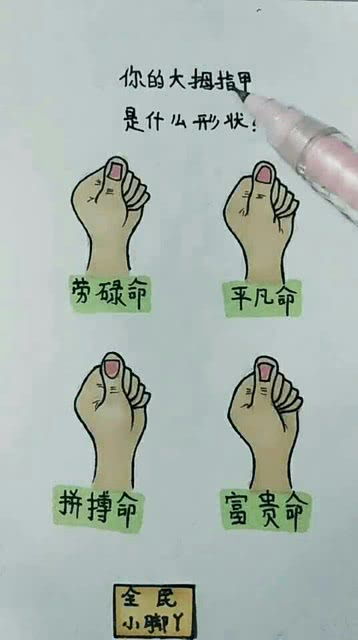 产业类型指的是什么