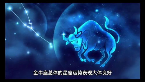 金牛座几月到几月