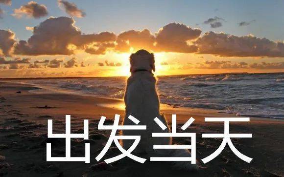 情比金坚似海深下句是什么