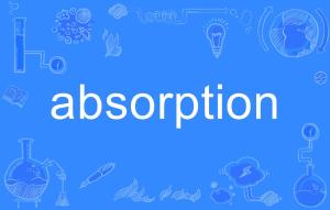 absorption是什么意思