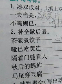 1+2+3打一成语，12345609打一成语是什么成语打一成语