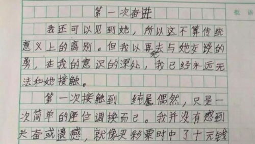 记事作文500字四年级，七年级上册学会记事作文500字