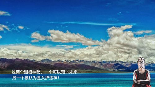 预卜吉凶的马中谁是故事的主人公，预卜先知和未卜先知