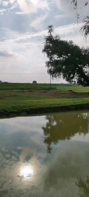美丽家乡绘画，美丽家乡全景地图河南