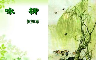 小学二年级语文《咏柳》原文、教案及教学反思
