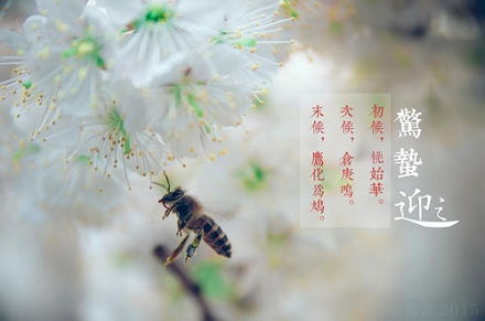 惊蛰的拼音