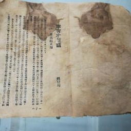 [寻找最完美书评] |《李有才板话》稀饭、烙饼和斗争