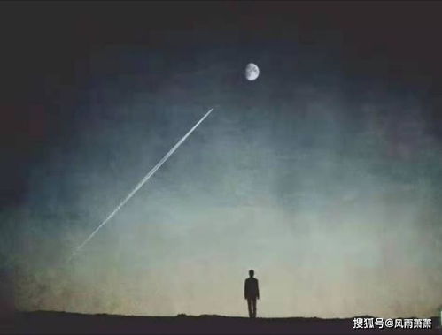 泛起的拼音