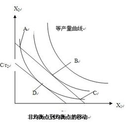 生产者指的是什么