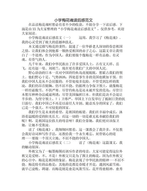 梅花魂读后感