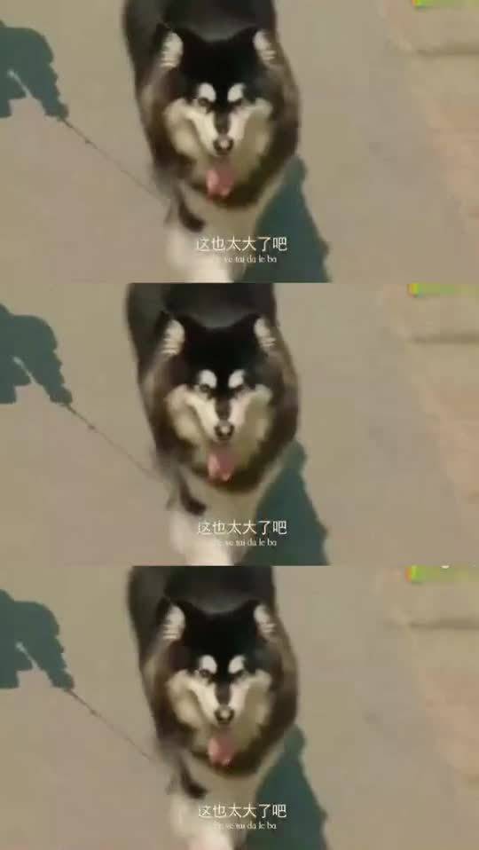 "牛头不对马嘴"这句话是什么意思?