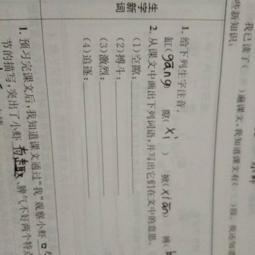 空隙的意思空隙的意思是什么