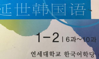 大发韩语意思，大发韩语谐音