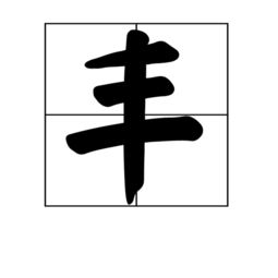 丰的偏旁部首是什么