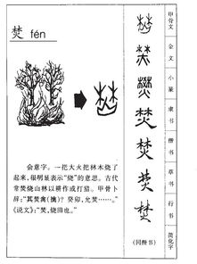 焚的拼音和组词和部首，焚的拼音和组词是怎么写
