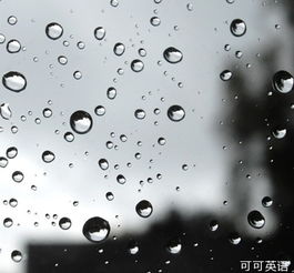 什么雨滴填词语