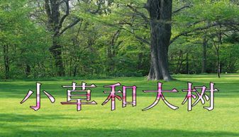 小草和大树的寓言故事，小草和大树都是大地母亲深爱着的孩子后面怎么写
