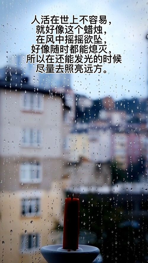人生在世不称意的下一句是什么，人生在世不称意全文