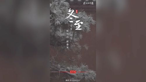 阳生贵己，阳生肖是哪几个生肖