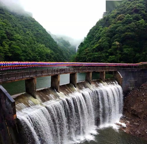 苍南县有什么旅游景点?