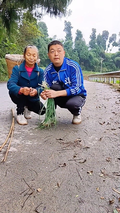 捡拾幸福的作文600字，捡的意思是什么