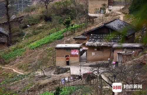 悬崖村祖先怎么上去