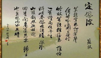 人教版高二语文下册《苏轼词两首》教案