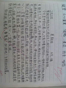 我的新老师初一作文