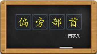 翻字部首是什么