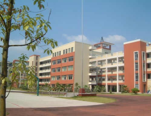 闽江学院附中升学率，闽江学院附中高中部