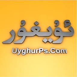 uighurs，uighurs音标