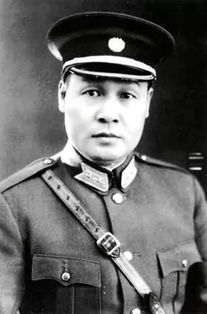 杨虎城将军简介，杨虎成