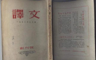 原文译文是什么意思，译文是什么意思解释