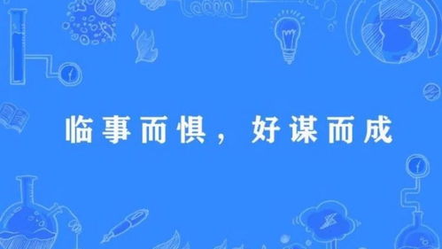 暴虎冯河什么意思