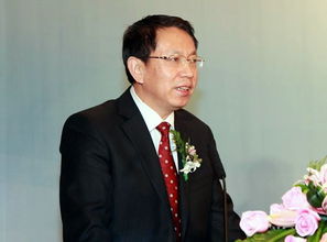 王银峰录音，王银峰广东省国家安全厅