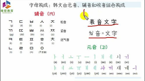 标的拼音拼读，标准的拼音
