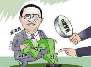 成清波简介，成清波是鹤峰哪里人