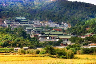陆丰天气预报15天查询，台风陆丰天气预报