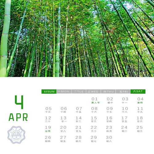 槐序十七，槐序赴约