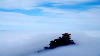 帛流在哪里