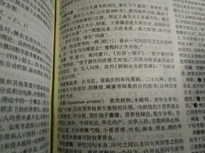 桃花源记中的问津是什么意思?